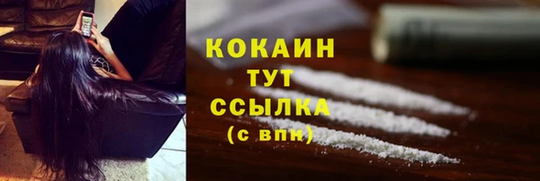 твердый Алексин