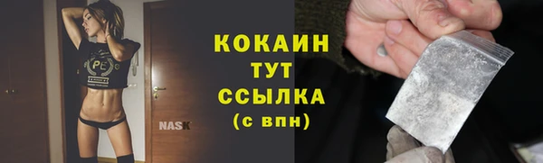 твердый Алексин