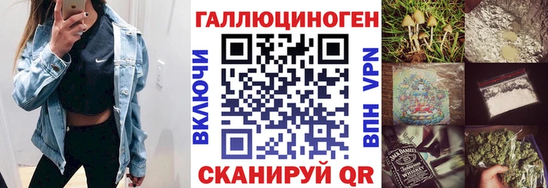 где можно купить   Пучеж  Галлюциногенные грибы Psilocybe 